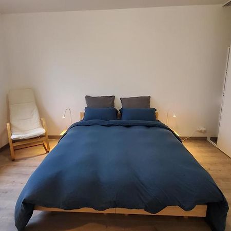Apartamento L'Ecrin De Saint Genest Lerpt - Belle Vue Et Calme Exterior foto