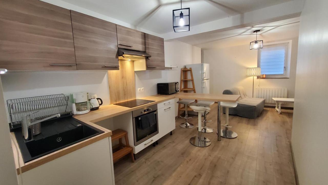 Apartamento L'Ecrin De Saint Genest Lerpt - Belle Vue Et Calme Exterior foto
