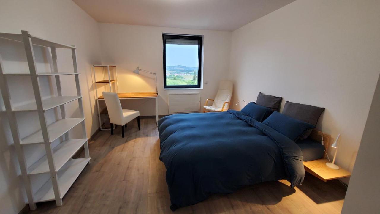 Apartamento L'Ecrin De Saint Genest Lerpt - Belle Vue Et Calme Exterior foto