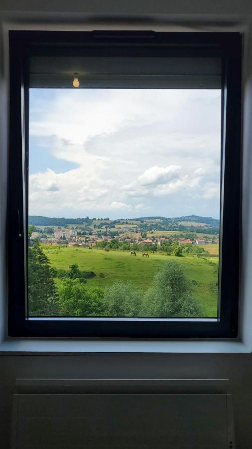 Apartamento L'Ecrin De Saint Genest Lerpt - Belle Vue Et Calme Exterior foto
