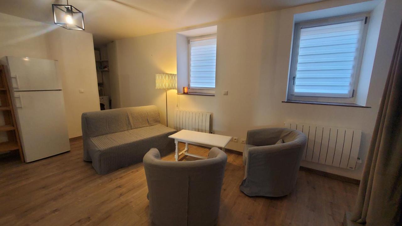 Apartamento L'Ecrin De Saint Genest Lerpt - Belle Vue Et Calme Exterior foto