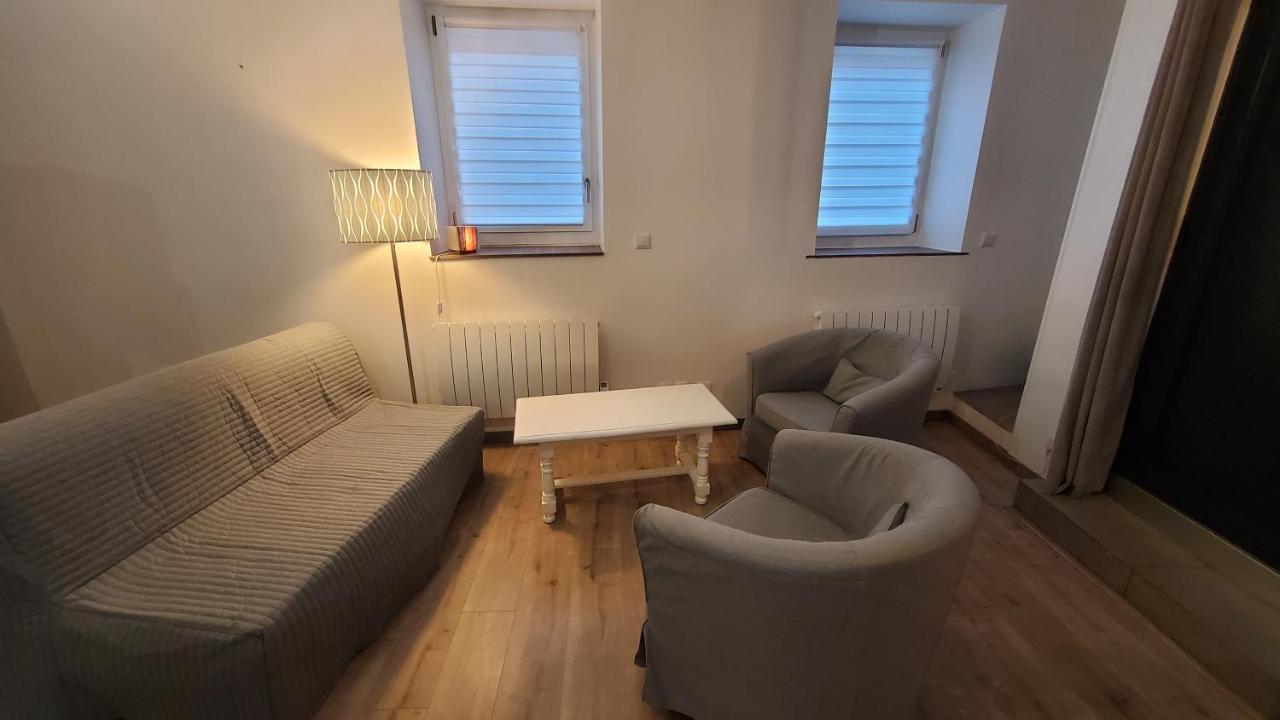 Apartamento L'Ecrin De Saint Genest Lerpt - Belle Vue Et Calme Exterior foto