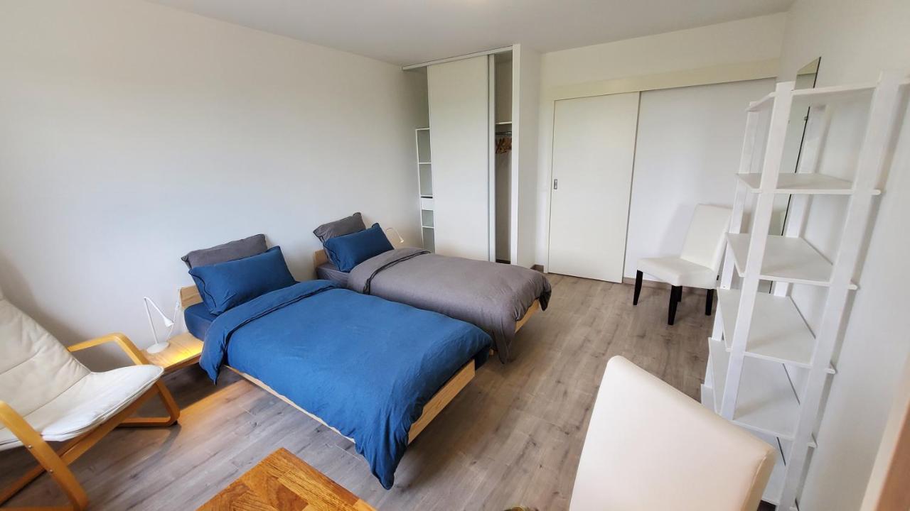 Apartamento L'Ecrin De Saint Genest Lerpt - Belle Vue Et Calme Exterior foto